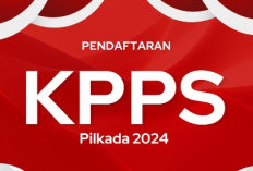 Pilkada 2024 November, Pendaftaran KPPS Dibuka, Berikut Jadwal Tahapan Seleksinya