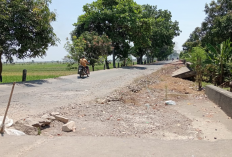 7 Tahun Rusak dan Amblas, Ruas Jalan Kaliwedi-Guwa Kidul Sering Akibatkan Kecelakaan