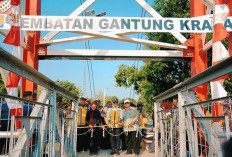 Kolaborasi Pusat dan Daerah