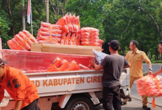 Musim Hujan Diprediksi Mulai Oktober Ini, BPBD Persiapan Ancaman Bencana Hidrometeorologi 