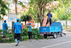 Pangkas Pohon Rawan Tumbang 