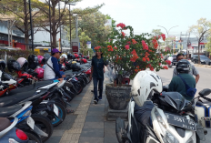 Pemandangan di Kota Cirebon, Trotoar Tampak Semrawut