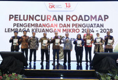 OJK Dorong Roadmap Kelembagaan Mikro