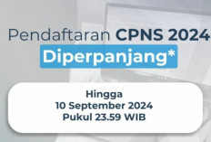 Pendaftaran CPNS 2024 Terakhir Hari Ini, Berikut Cara Daftar dan Dokumen yang Dibutuhkan