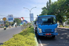 Semula Sekali, Kini Dua Kali,PRDKP Intensifkan Penyiraman Tanaman