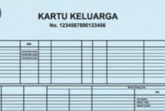 Berikut Cara Membuat KK Secara Online, Lebih Efesien dan Efektif