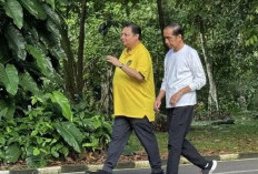Ridwan Kamil Ungkap Pembahasan Empat Mata Jokowi dan Ketum Golkar Airlangga di Istana Bogor