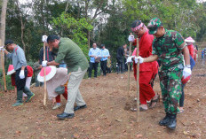 Diskatan Dorong Penanaman Padi Gogo untuk Optimalisasi Lahan Kering