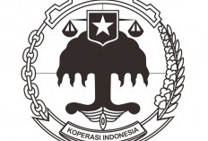 Efisiensi Pelaporan dan Administrasi Koperasi