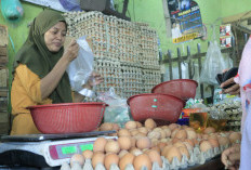 Protein di Makanan Mentah Tidak Bisa Diserap Tubuh