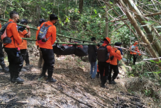 Tim SAR Gabungan Temukan Manadi, Hilang di Hutan Batu Baok Kelurahan Sumber 