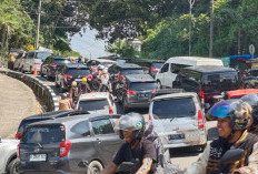 Macet Berjam-jam Long Weekend di Jalur Puncak Bogot, Ini Penyebabnya