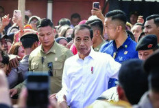 Jokowi: Tanggal 20 Oktober Sore Saya Pulang ke Solo