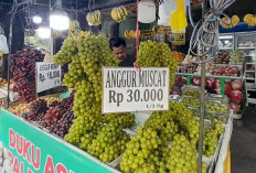 Pedagang Anggur Shine Muscat di Cirebon Ikut Terdampak