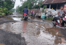Ruas Jalan di Blok Pagertoya Suranenggala Sepanjang Satu Kilometer Rusak Parah