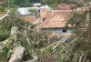 Rumah Ambruk, Pohon Tumbang 